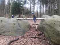 Reiten Aachen Natur Wald 