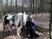 integrativ Reiten Reittherapie Aachen 