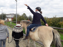 Qigong Reiten Pferd Aachen Roetgen Herzogenrath Stolberg 