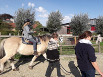 innere Mitte innere Ruhe Meditation Pferd Qigong Aachen Stadt Land Stolberg Reiten 