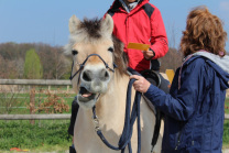 Pferde Reiten integrativ Ferien Aachen