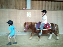 Pfingstferien Reitferien Aachen Reittherapie