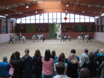 Pferde Theater Kinder Jugendliche Aachen 