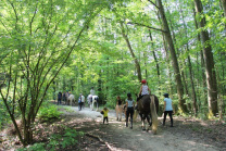 Reiten Reittherapie Aachen Aachener Wald