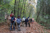 Herbst Ausritt Reiten Aachen Wald Ferienspiele