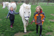 Aachen Reiten Paddock Ferien Freizeit