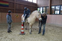 Ringe werfen reiten Pferd Aachen Reittherapie
