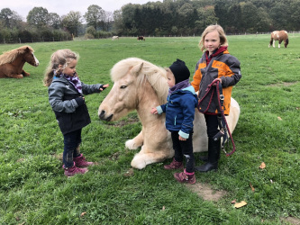 Pferde Kinderlieb Aachen Reittherapie 