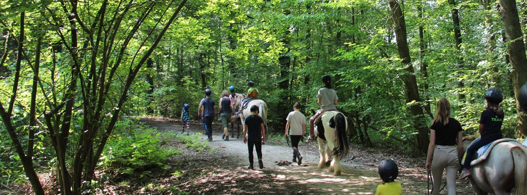 Aktuelles | Reitfreizeiten | Aachener Förderstiftung Reittherapie Grüne Eiche, Aachen