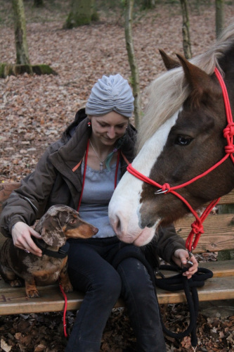 Pferd Reittherapie Lastenträger Lillifee Aachen Stolberg 