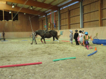 Reittherapie Aachen Städteregion Stolberg Zirkus Reitfreizeit Reitwochenende