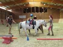 Reittherapie Aachen Städteregion Stolberg Zirkus Reitfreizeit Reitwochenende Reiten